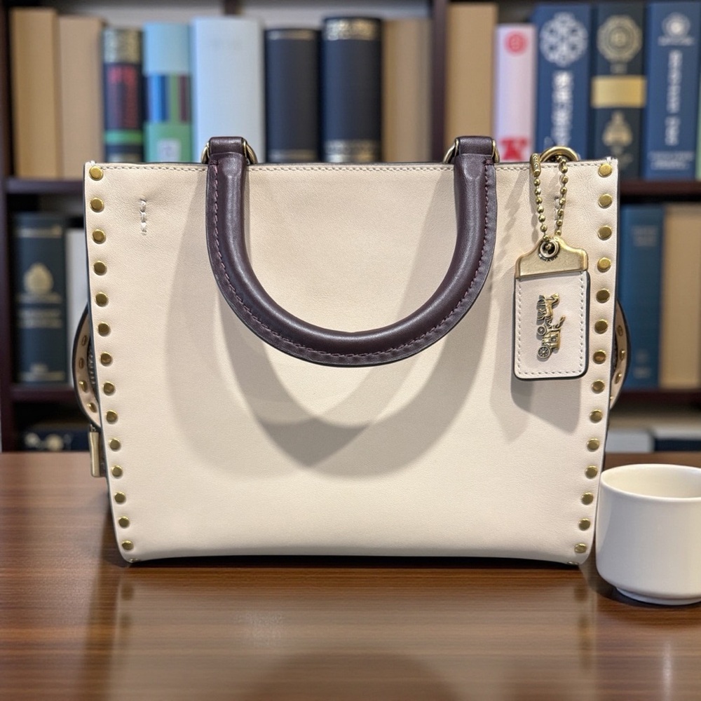EUC Coach Rogue 25 with rivets